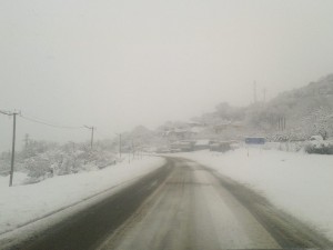 12541102_972247516182683_235093030787215715_n