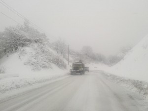 12548963_972247459516022_4828611991909346760_n