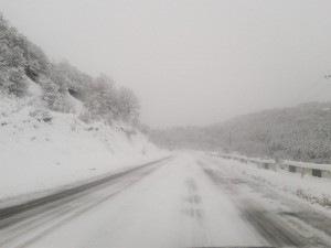 12549031_972247442849357_3141457812895494227_n