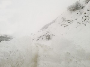 12552536_972247412849360_2297395789053172840_n