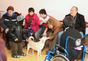 12552653_527285250773086_698164623215064226_n