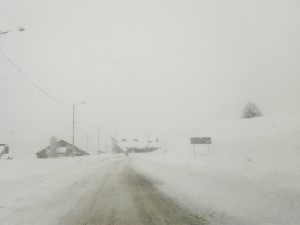 12573793_972247379516030_390398888641458434_n