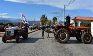 12583739_1115239411854235_339621874_n