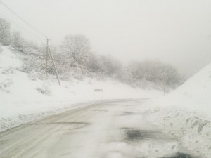 12592753_972247489516019_6372954712548159590_n