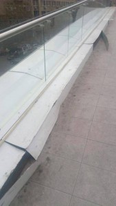 12625788_1014931201884092_284218600_n