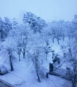 12642458_904820266265186_2828649490888604484_n