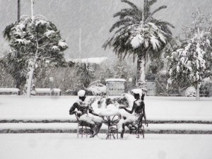 12642710_904981039582442_2997706807262390610_n