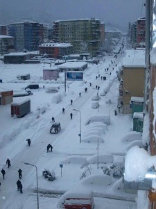 12645186_569068323251276_564573332321607667_n