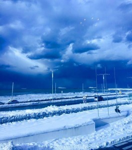 12647112_904824032931476_5797122378951501481_n