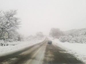 12647314_972247512849350_8906733033315270386_n