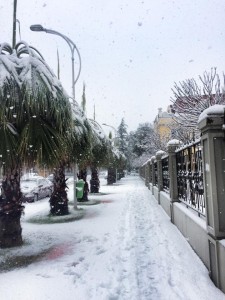 12647386_905034302910449_356550875679850053_n