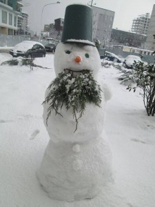 12647416_905003306246882_2464748004872742014_n