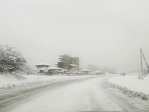 12647434_972247452849356_8150949399857190599_n