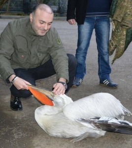 1909918_981666341899970_4223235193754507746_n