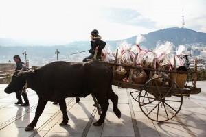 936619_524204741081137_5705054081990040778_n