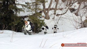 11947600_1146445242054883_1068213444799779245_n