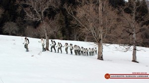 1234957_1146445225388218_4967882332487503865_n