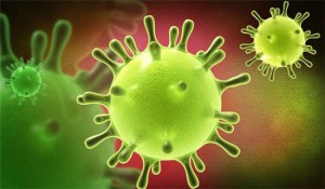 12644954_1079077322114760_8135236166838127277_n