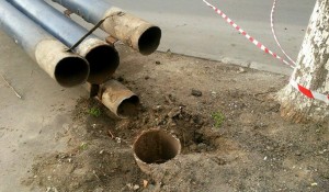 12645086_10153443004934779_6120488122515784902_n