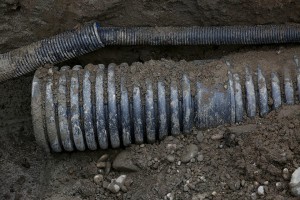 12647244_1254635321219732_3528368149751229445_n