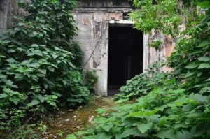 12659733_10205336406481277_1183445726_n