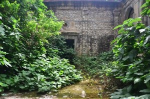 12660230_10205336406561279_1113467728_n