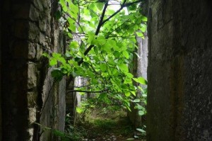 12660283_10205336406761284_1966156739_n