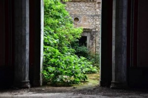 12674100_10205336407041291_1339550673_n