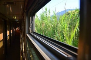 12674278_10205336406521278_1908771328_n