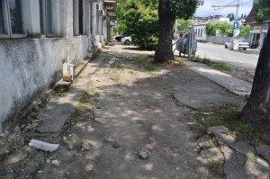 12695748_10205336407601305_996769494_n