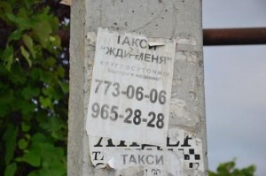 12695908_10205336406681282_448372712_n