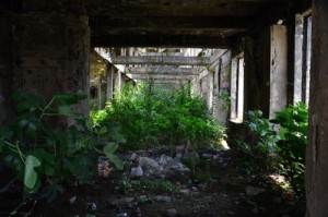 12696112_10205336407481302_1996882853_n