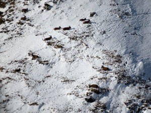 12705485_989459017787369_5187163384476260076_n