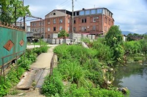 12714286_10205336407161294_351172338_n