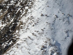 12715703_989458957787375_2954447744275023164_n