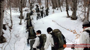 12741966_1146445338721540_4871134938097089330_n