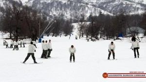 12742713_1146445328721541_3165895976009494728_n