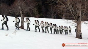 12745833_1146445422054865_5385936861086519672_n