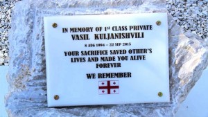 12814305_1150405834992157_7260874542912832961_n