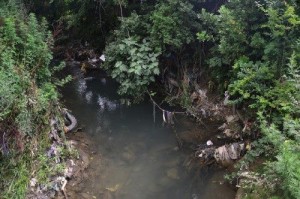 702788_10205336407201295_1432927371_n