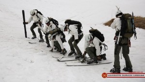 10314038_1154247827941291_5612367098594091304_n