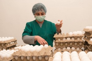 10339567_995983367143573_2130213246145385382_n