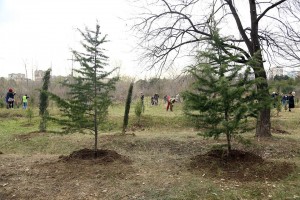 10342841_1278206548862609_2439117828030112994_n