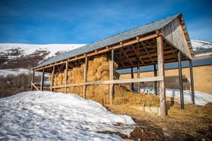 10670212_995358937206016_5986697810840657923_n