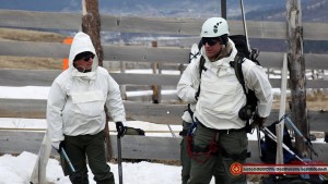 12042734_1154247627941311_4181929882681297554_n