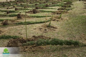 12417515_1026610154062621_8535040804532868236_n