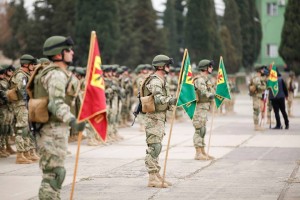 12417725_554353864732891_3226151301618573214_n