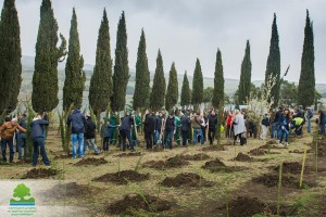 12472772_1026610214062615_5070906823654838756_n