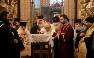 12523972_241416219536743_6922849322306023747_n