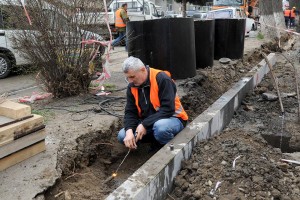 12705625_1270455869637677_2193578238454128205_n